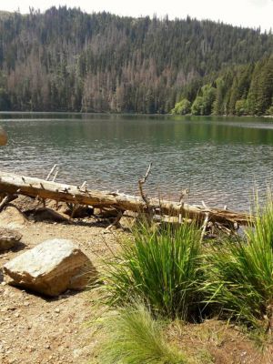 Apartmány Horní Vltavice