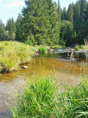 Apartmány Horní Vltavice