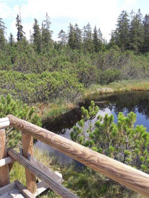 Apartmány Horní Vltavice