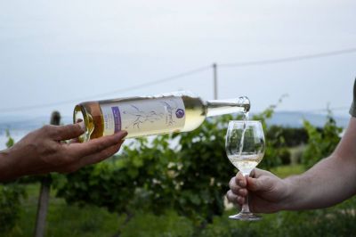 Apartmány Buket Pavlov