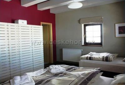 Apartmány Cestář - Boží Dar