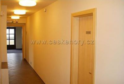 Apartmány Cestář - Boží Dar