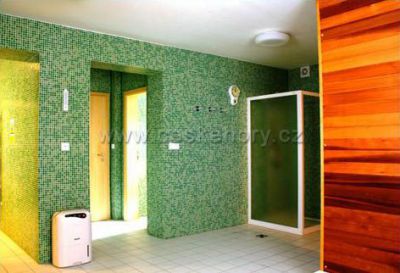 Apartmány Cestář - Boží Dar