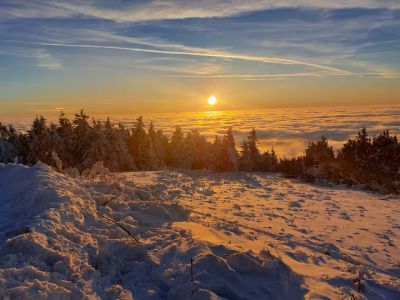 Forest House - Dům u lesa blízko Klínovce