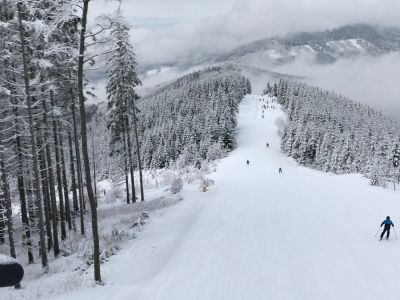 Apartmány Liščí potok - Kouty nad Desnou