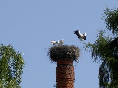 Apartmány Pod Hradem