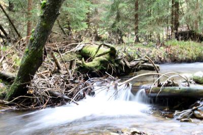 Apartmány Prášily Šumava