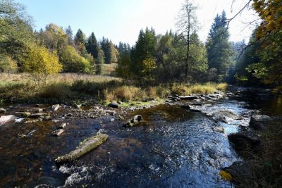Apartmány v Říčkách V Klidu a V Pohodě