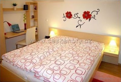 Apartmína - apartmán u Ski areálu Razula