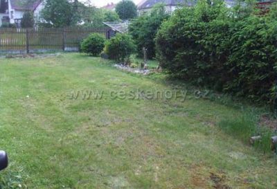 Velhartice 184 pronájem bytu