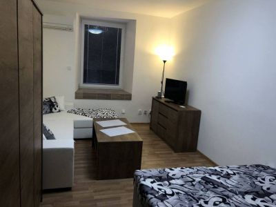 Apartmány Dvůr