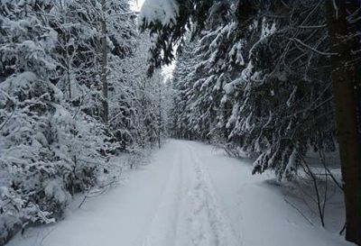 Chatky Apollo na Vysočině