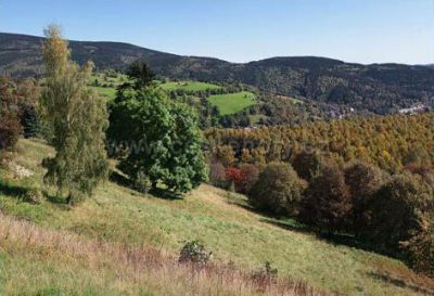 Chata Arnika - Mariánská u Jáchymova