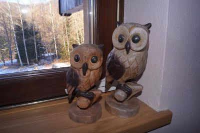 Pokoje se saunou Aura