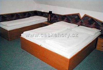 Penzion Aurelius, Vinárna a penzion U Bednářů