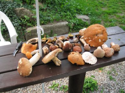 Horská chalupa Baldorff