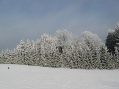 Horská chalupa Baldorff