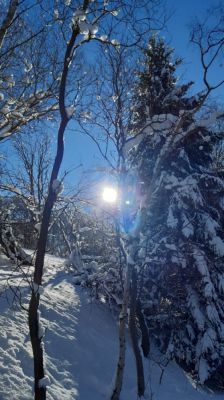 Chalupa ve Vejprtech