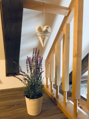 Chata Barborka - apartmán 8