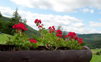 Horská bouda Bukovka