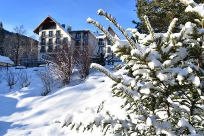 Beltine Forest Hotel