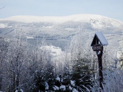 Penzion Bílá Labuť