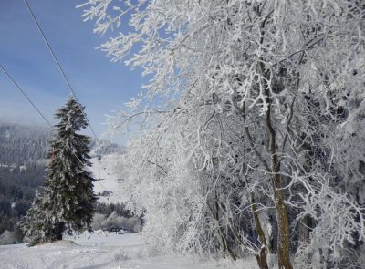Penzion Bílá Labuť