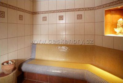 OREA Hotel Bílý Hořec ***