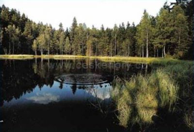 Bischofstein-zámek Skály