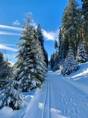 Bouda Bouřňák Krkonoše