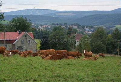 Horská bouda Na stráni