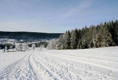 Vinařova šumavská chalupa Borová Lada