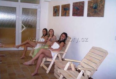 Wellness Hotel Centrál***