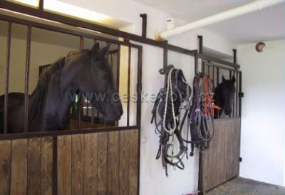 Chalupa u kaple - Černá Lada (Borová Lada)