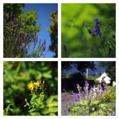 Čertův mlýn - Bílý Potok