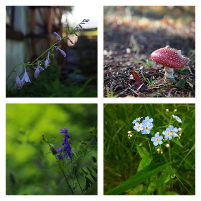 Čertův mlýn - Bílý Potok