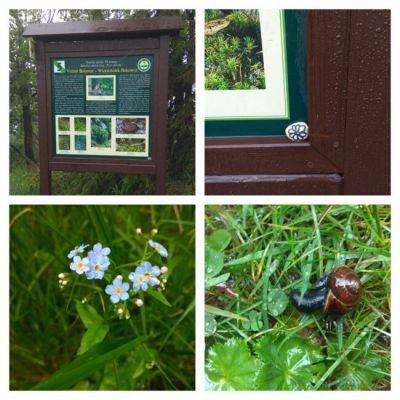 Čertův mlýn - Bílý Potok