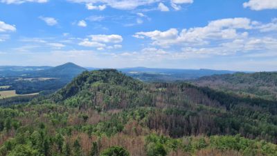 Českosaská chalupa