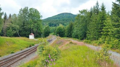 Českosaská chalupa