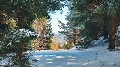 Českosaská chalupa