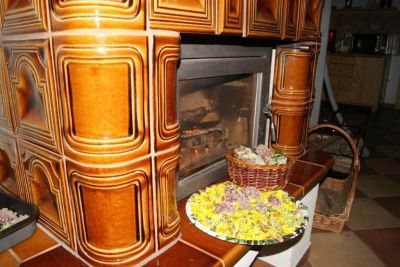 Chalet Horní Orlice