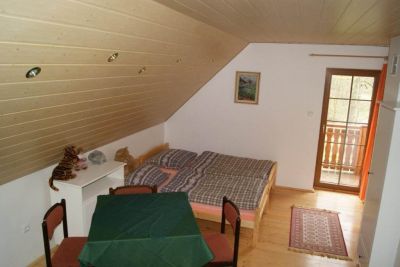 Chalet Horní Orlice