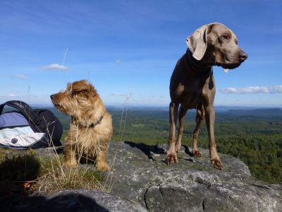 Chaloupka Sněžník