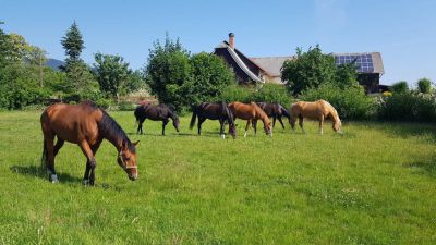 Penzion chaloupka Heroltice