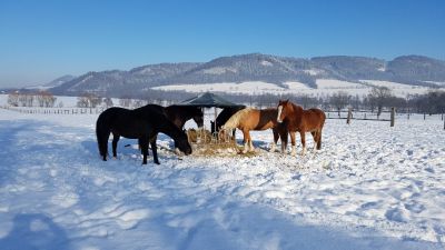 Penzion chaloupka Heroltice