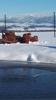 Chalupa Dolní Boříkovice