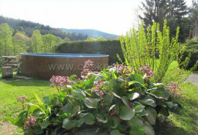 Chalupa Javorná 50/A