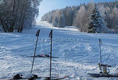 Chalupa Javorná 50/A