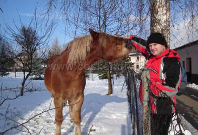 Chalupa pod Bukovkou