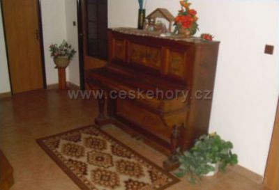 Chalupa Magdalena - Sněžné č.p.110